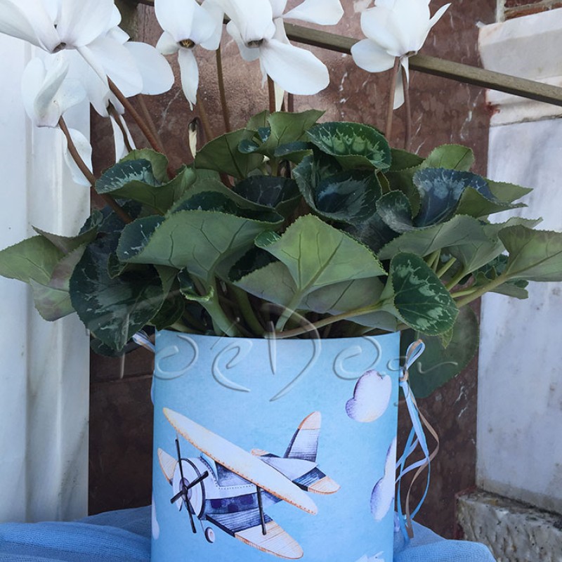 Κασπώ διακόσμησης βάπτισης αερόστατο